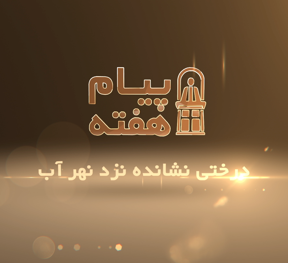 Screen-Shot-2017-06-07-at-17.43.45